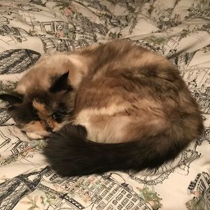 Meet your Posher, Cara